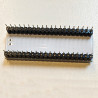 Freddie Module